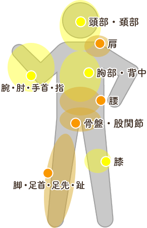 身体の図