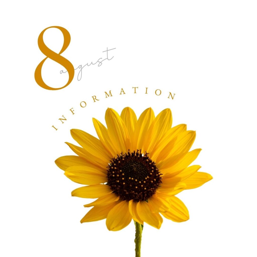 令和6年 8月のお知らせ