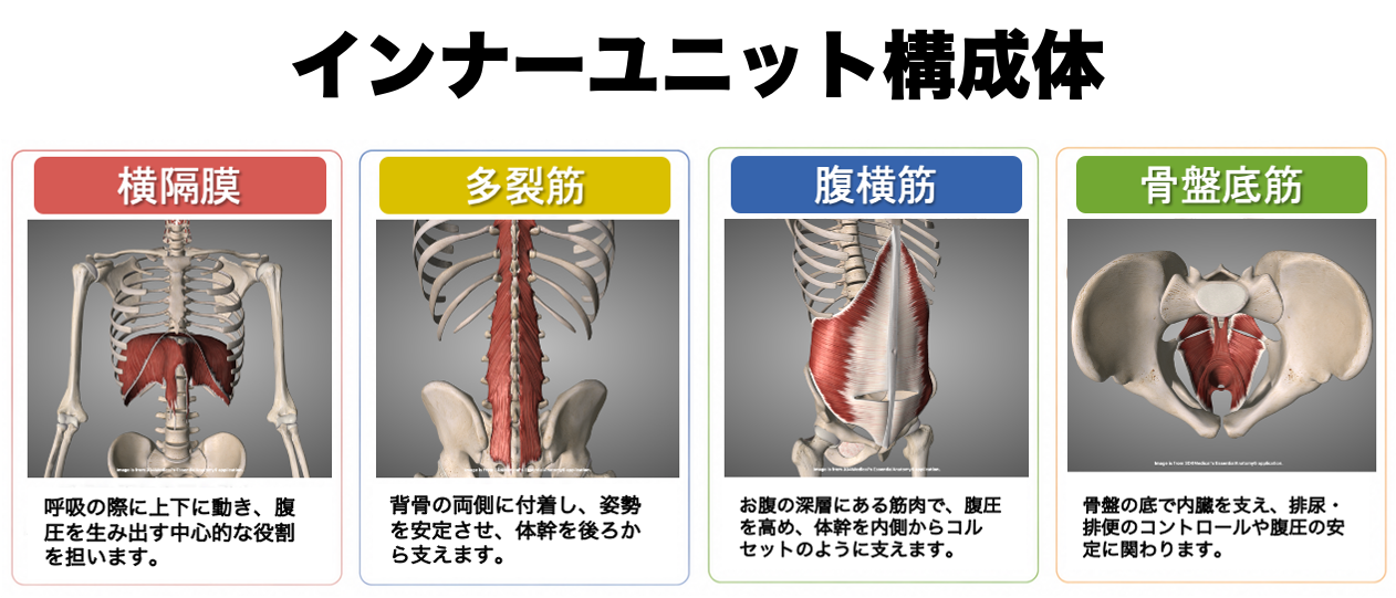 インナーユニット構成体